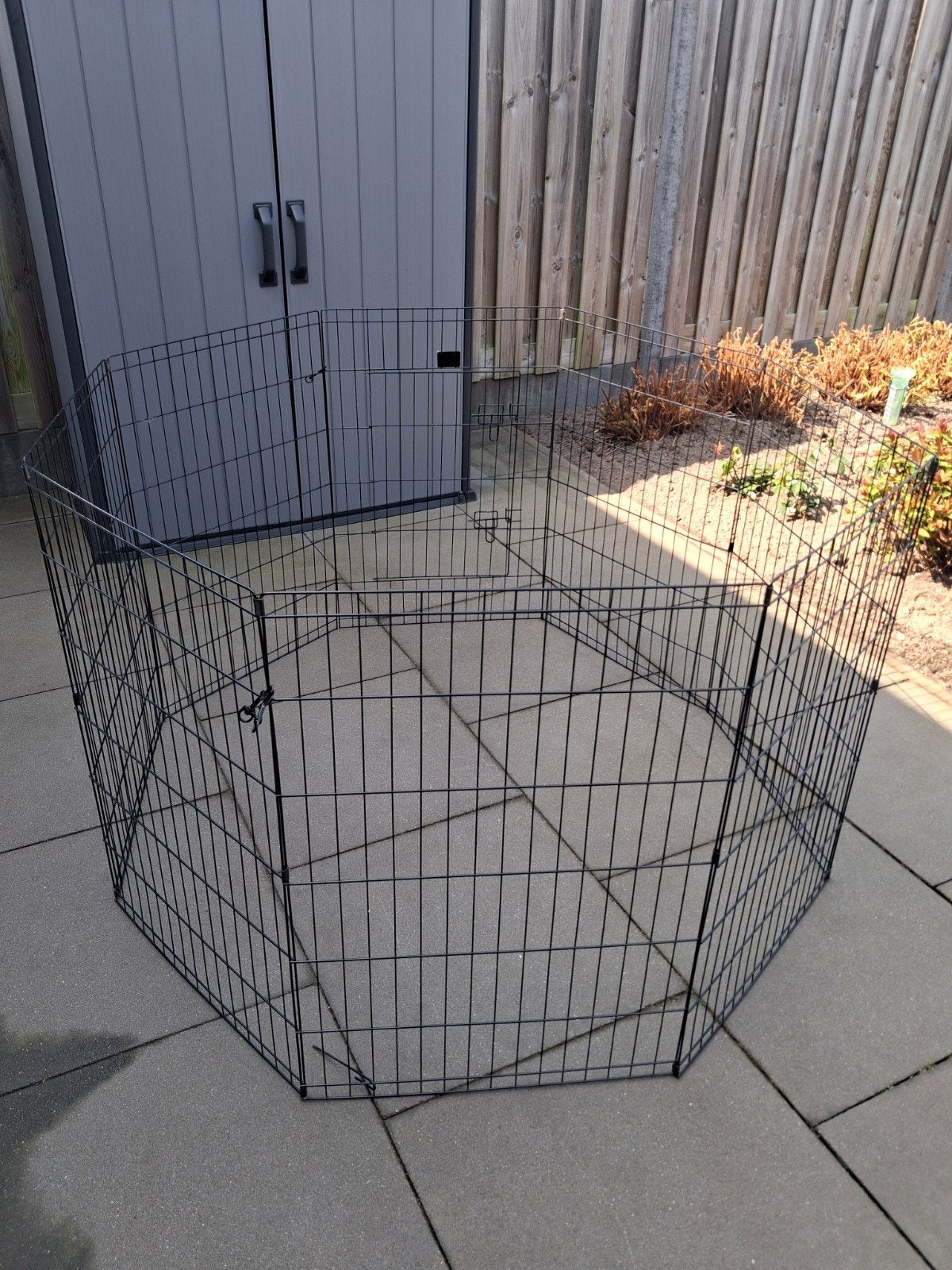 Konijnenren  / puppyren., Ophalen, 110 cm of meer, 90 cm of meer, Konijn