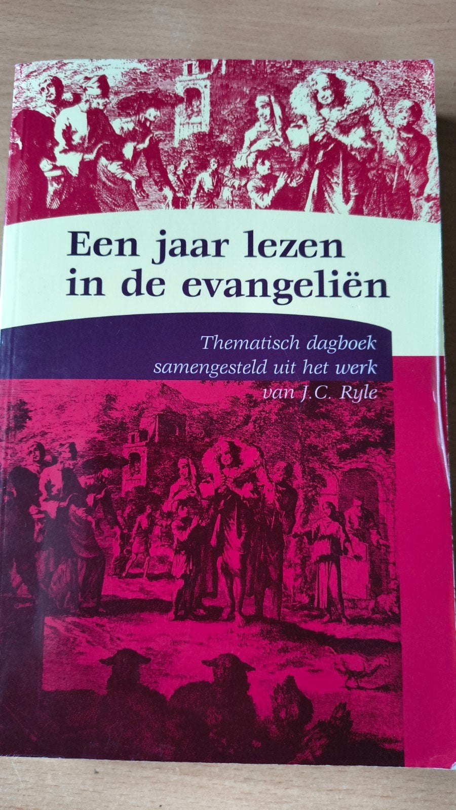 Een jaar lezen in de evangeliën. JC Ryle, Boeken, Christendom | Protestants, Ophalen of Verzenden, Zo goed als nieuw, JC Ryle