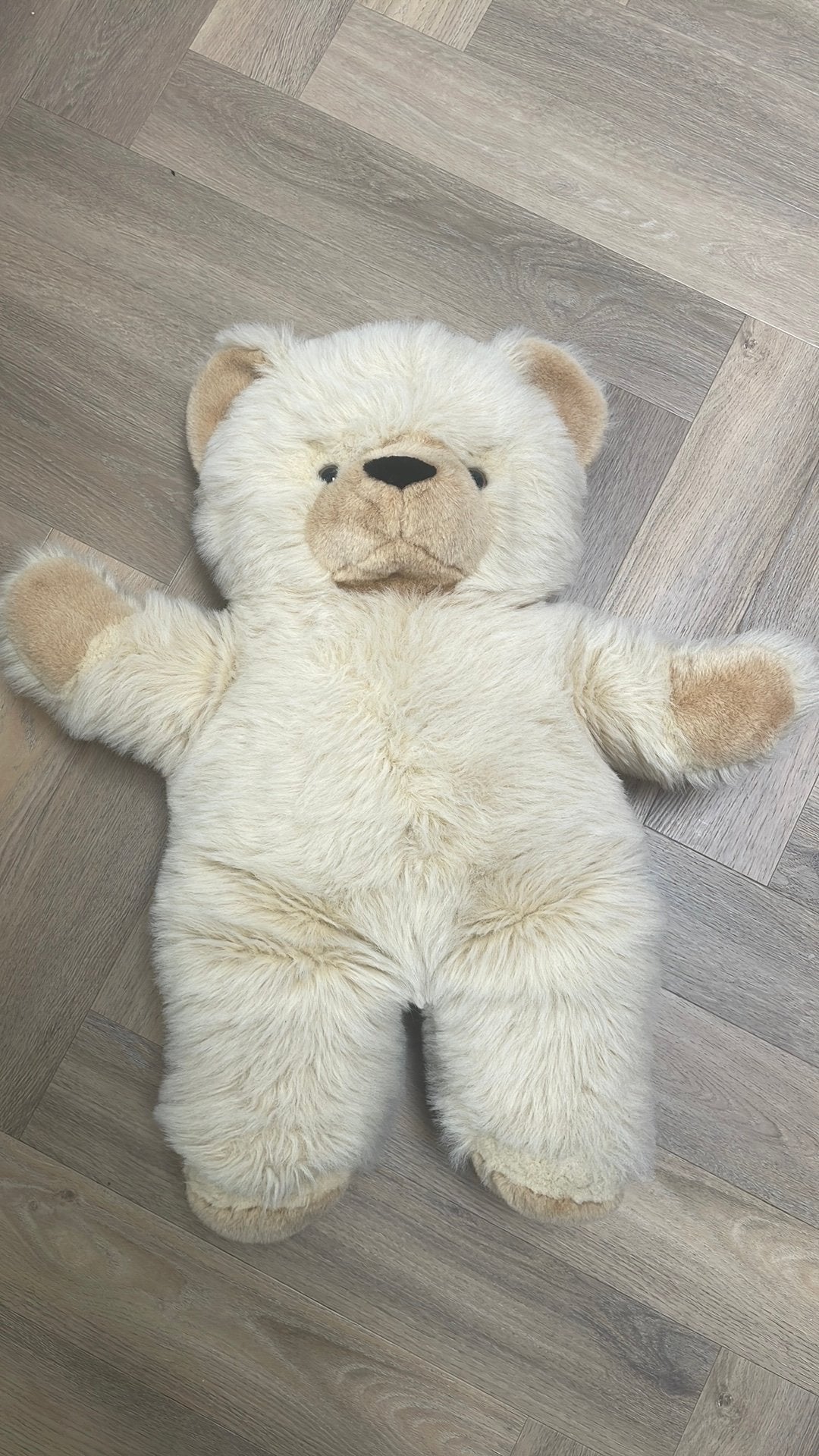 Gratis grote teddybeer, Ophalen, Zo goed als nieuw, Beer, Middelgroot (20 tot 80 cm)