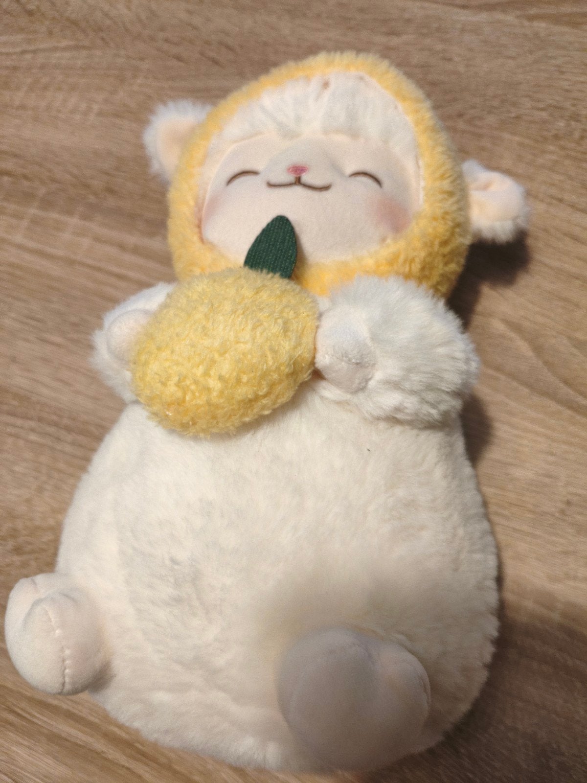 Leuke knuffels: schaapje en kleurrijke zeehond, Gebruikt, Overige typen, Ophalen of Verzenden, Klein (minder dan 20 cm)