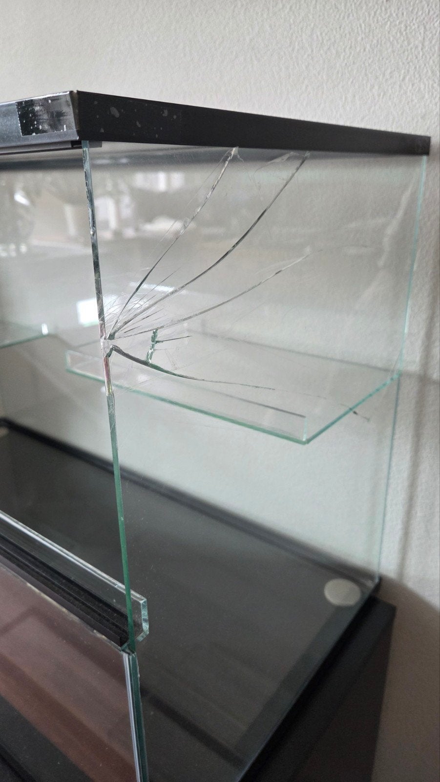 Foto 5 van Terrarium 80x40x50 met barst