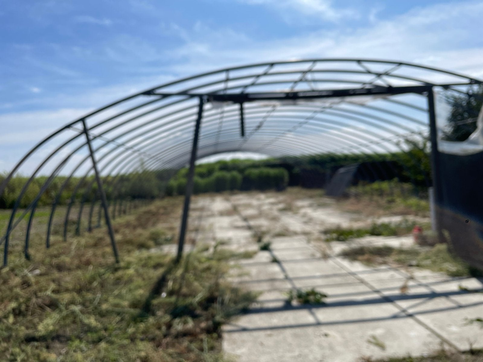 Keeek tunnelkas 25x11m - Ideaal zelf afbreken voor kwekers, Staal, Gebruikt, Folie, Kweekkas