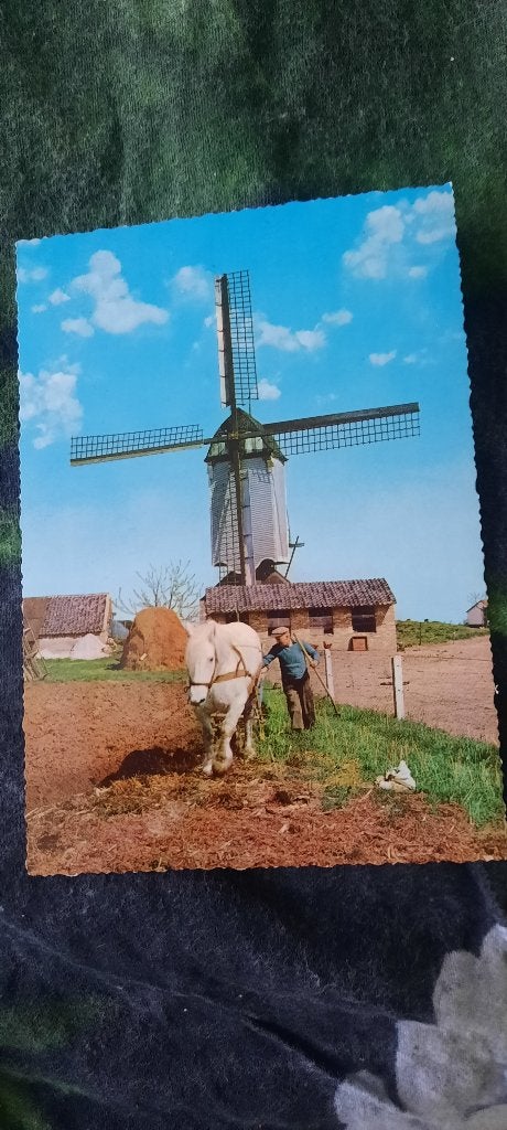 Kaart molen Nederasselt met een ploegend paard, Ophalen of Verzenden, 1960 tot 1980, Ongelopen, Gelderland