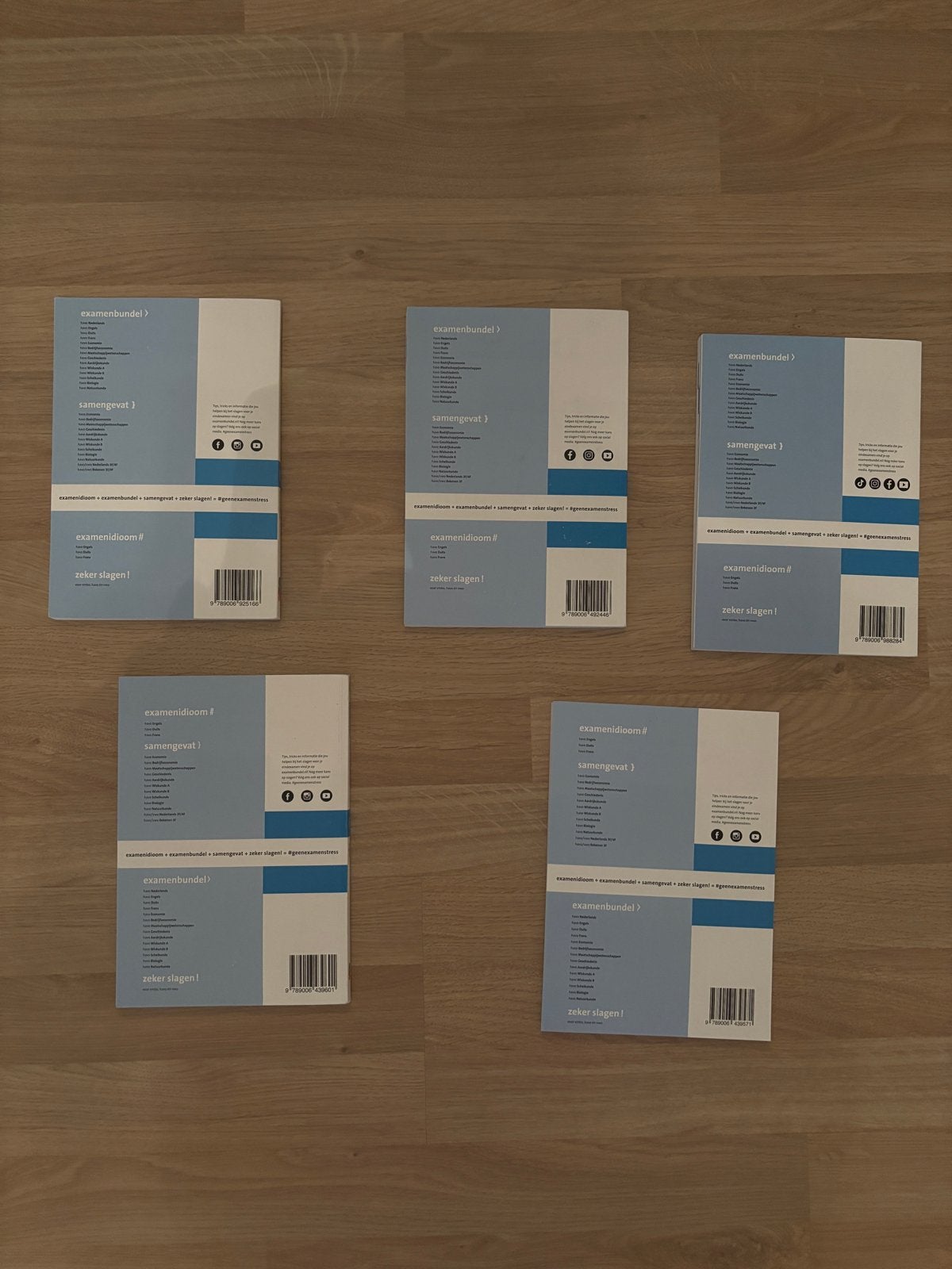Examenbundels en Samengevat boeken HAVO, Boeken, Schoolboeken, Ophalen of Verzenden, Zo goed als nieuw, HAVO, Geschiedenis
