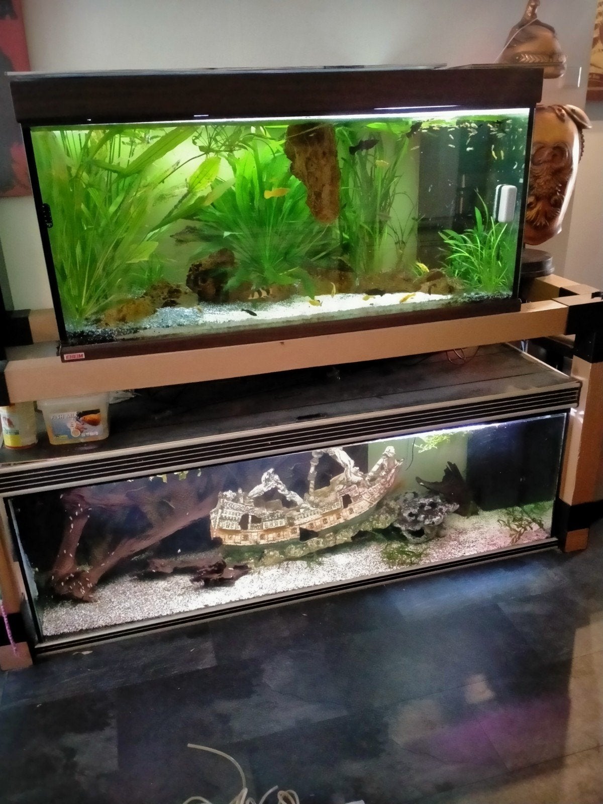 2 aquariums met stelling, Ophalen
