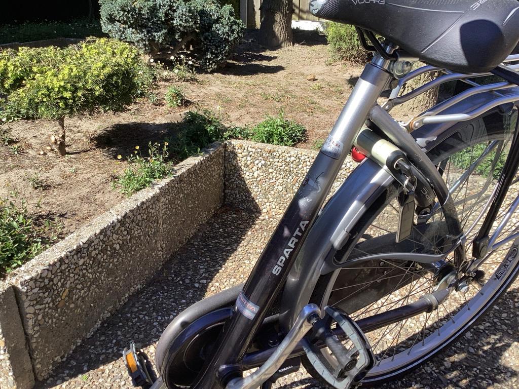 Sparta damesfiets met lage instap en mand, Fietsen en Brommers, Elektrische fietsen, Ophalen, Zo goed als nieuw, Sparta