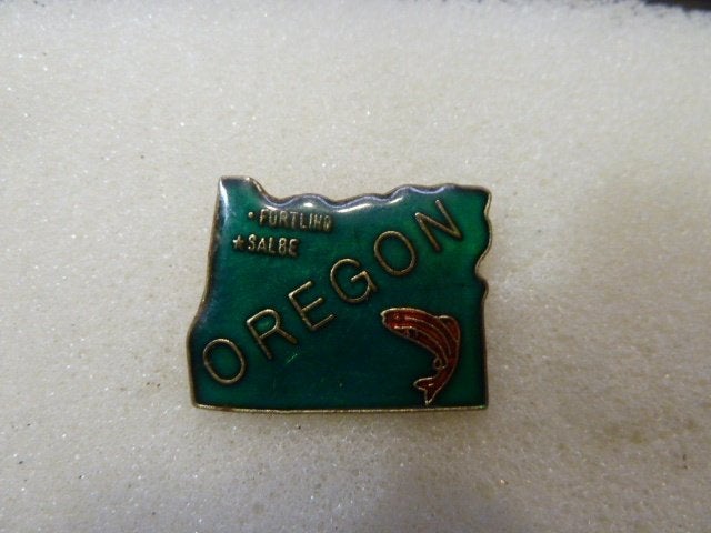 Pin Oregon, Verzamelen, Speldjes, Pins en Buttons, Ophalen of Verzenden, Nieuw, Overige onderwerpen