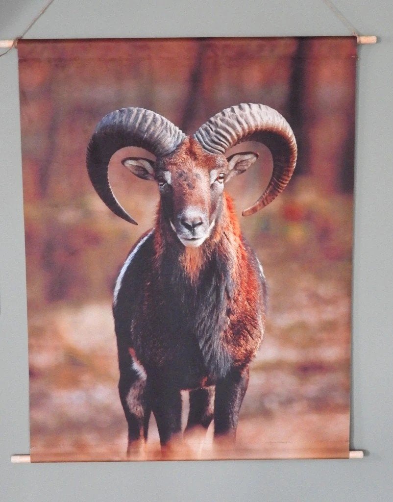 velvet wanddoek ram, Ophalen of Verzenden, Nieuw, Wandhanger