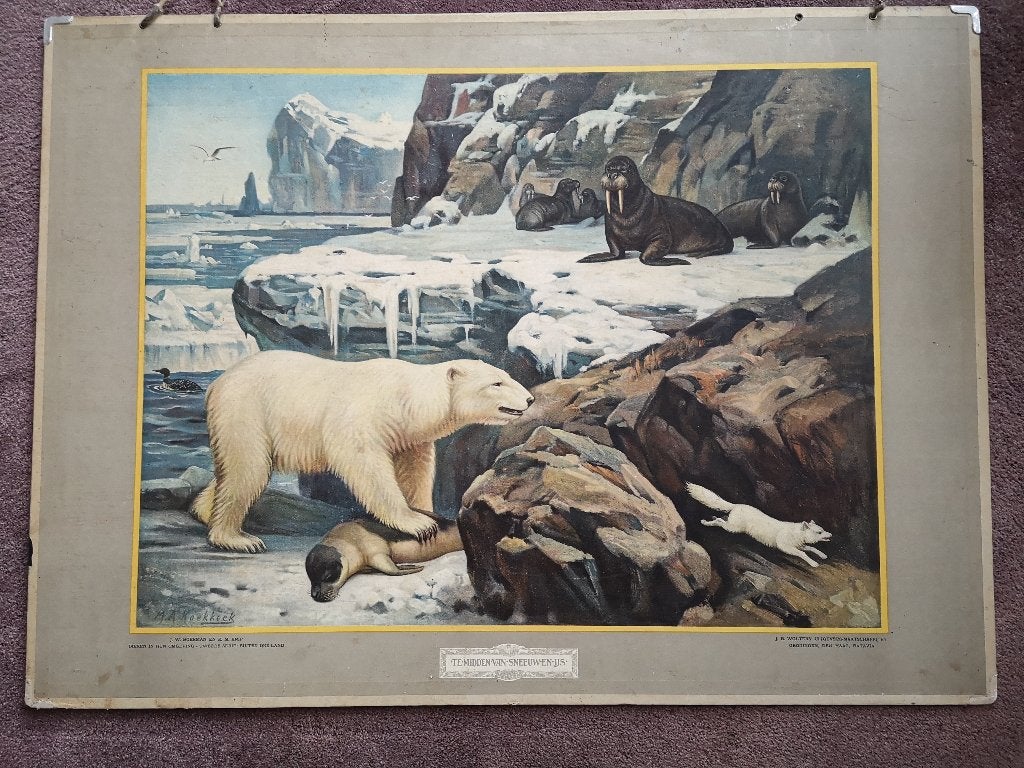 Schoolplaat - Te midden van Sneeuw en IJs - M.A. Koekkoek, Antiek en Kunst, Antiek | Schoolplaten, Ophalen, Natuur en Biologie