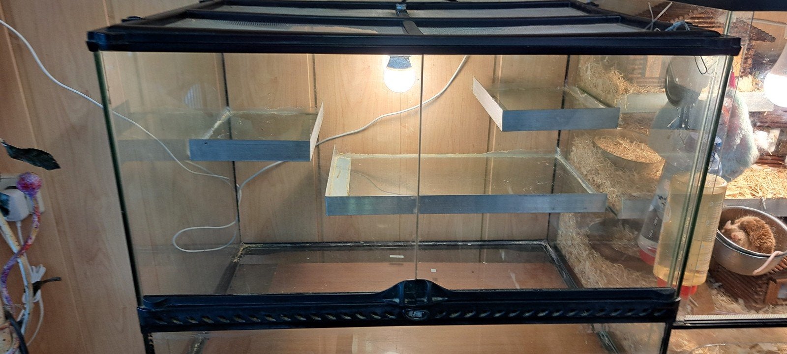 Exo Terra terrarium, Dieren en Toebehoren, Reptielen en Amfibieën | Toebehoren, Ophalen