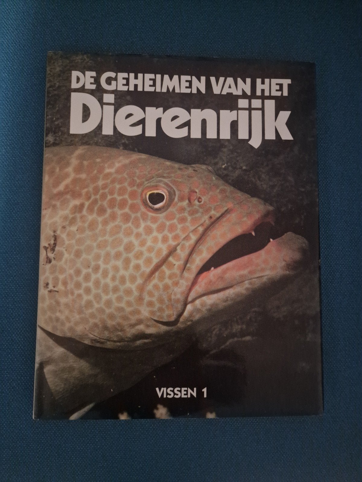 De Geheimen van het Dierenrijk Vissen 1, Boeken, Dieren en Huisdieren, Ophalen of Verzenden, Zo goed als nieuw, Vissen