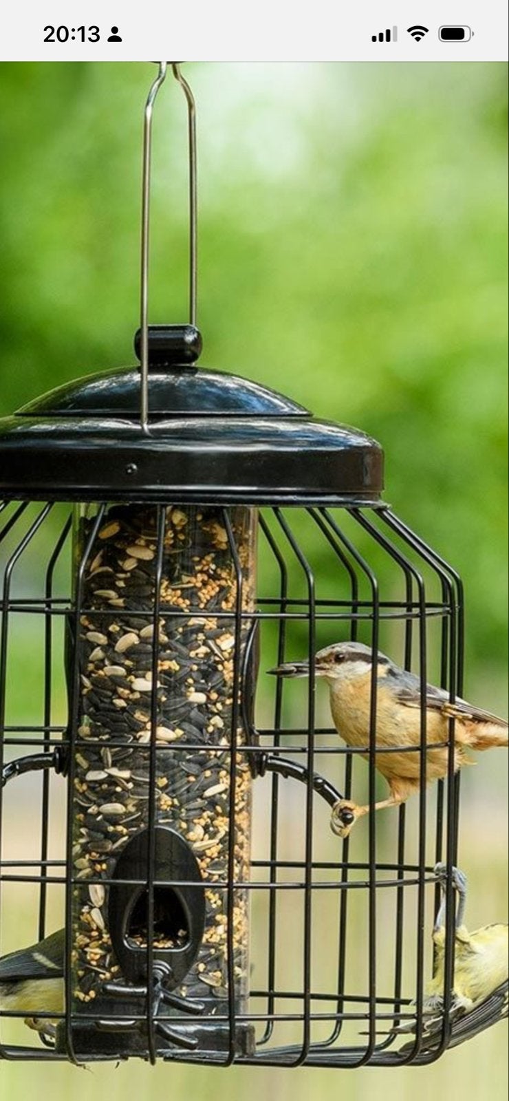 Voedersilo Brussel met beschermkooi, Tuin en Terras, Vogelhuisjes en Vogelbaden, Gebruikt, Ophalen of Verzenden