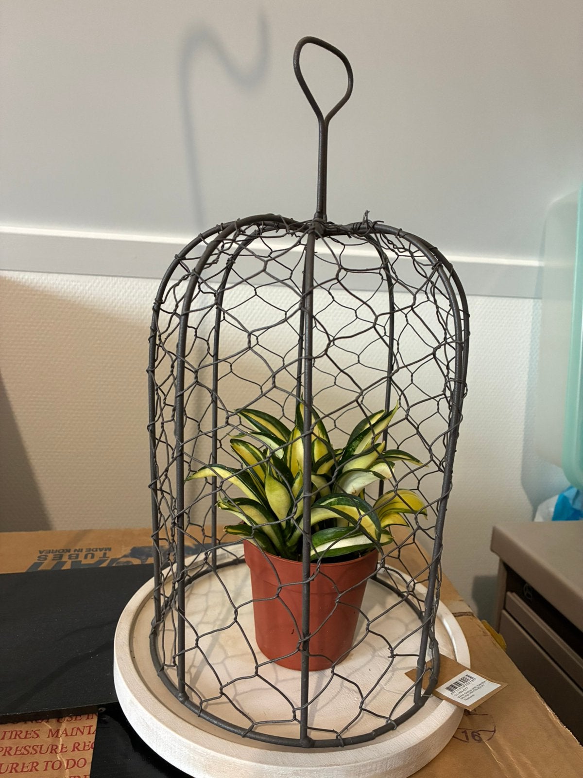 TE KOOP.  NIEUWE GAZEN STOLP + ONDERBORD EN PLANT !!, Ophalen of Verzenden, Nieuw