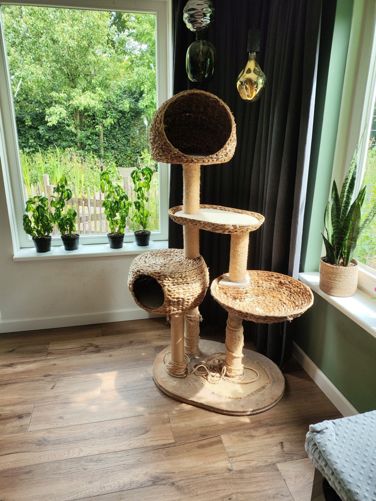 Kattenkrabpaal, Ophalen, Krabpaal