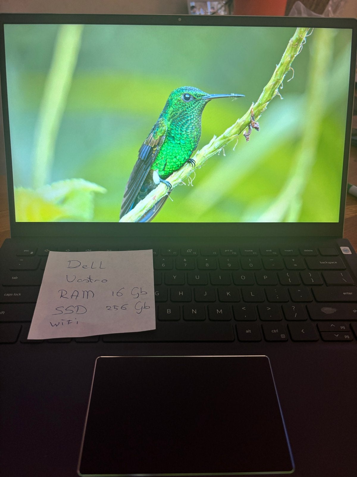 Dell Vostro Laptop - AMD Ryzen 5, 16GB RAM, 256GB SSD, Computers en Software, Windows Laptops, Ophalen, Met videokaart, 2 tot 3 Ghz
