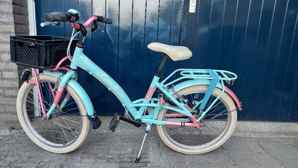 Kinderfiets 20 inch, Fietsen en Brommers, Ophalen, Terugtraprem, Gebruikt, Loekie