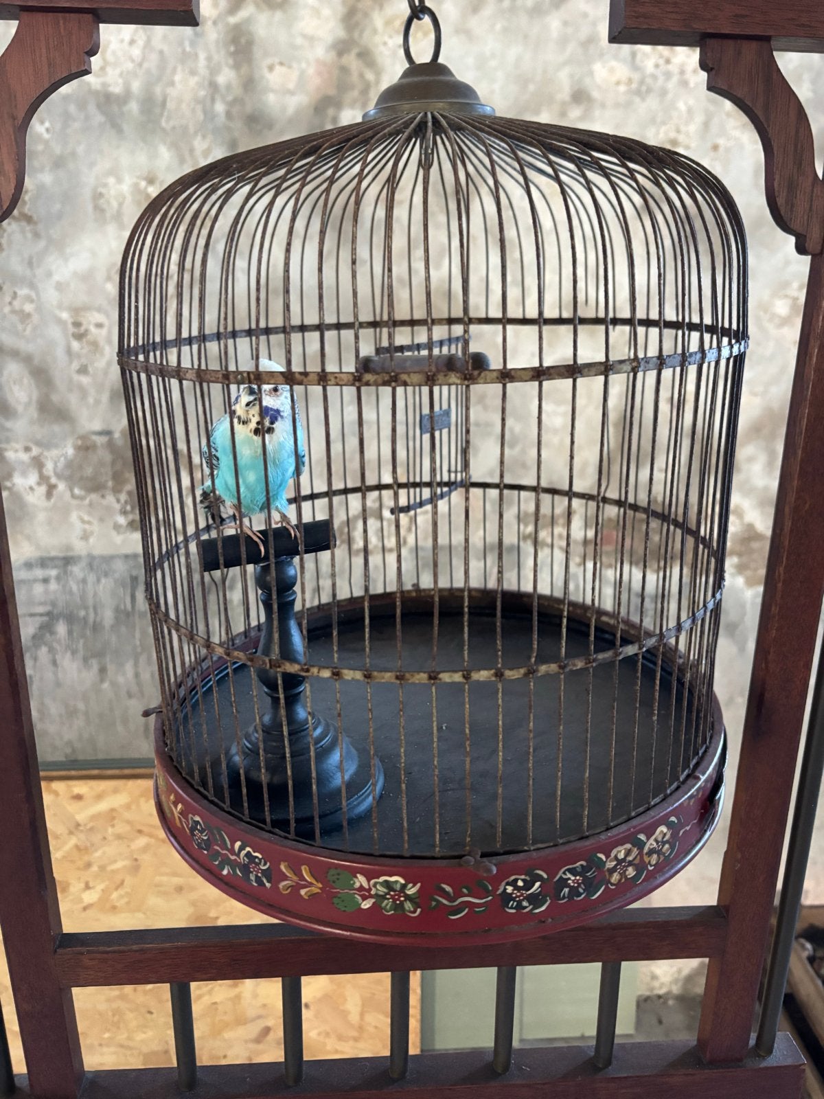 Antieke Vogelkooi met Standaard - Decoratief, Ophalen