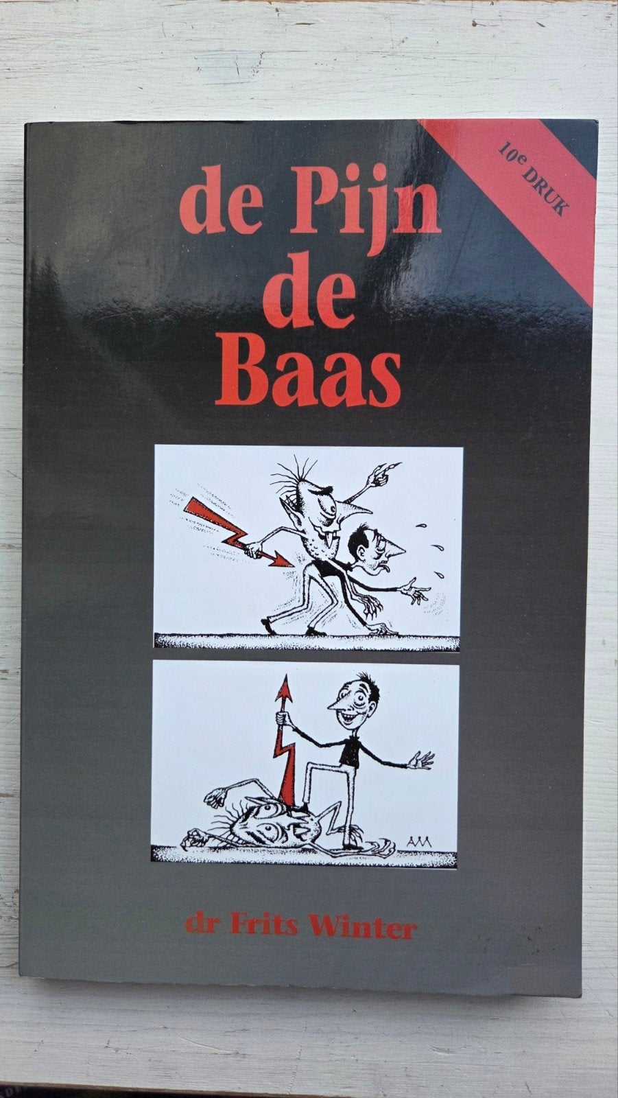 De Pijn de Baas - Dr. Frits Winter (10e druk), Boeken, Ophalen of Verzenden, Gelezen, Gezondheid en Conditie, Dr. Frits Winter