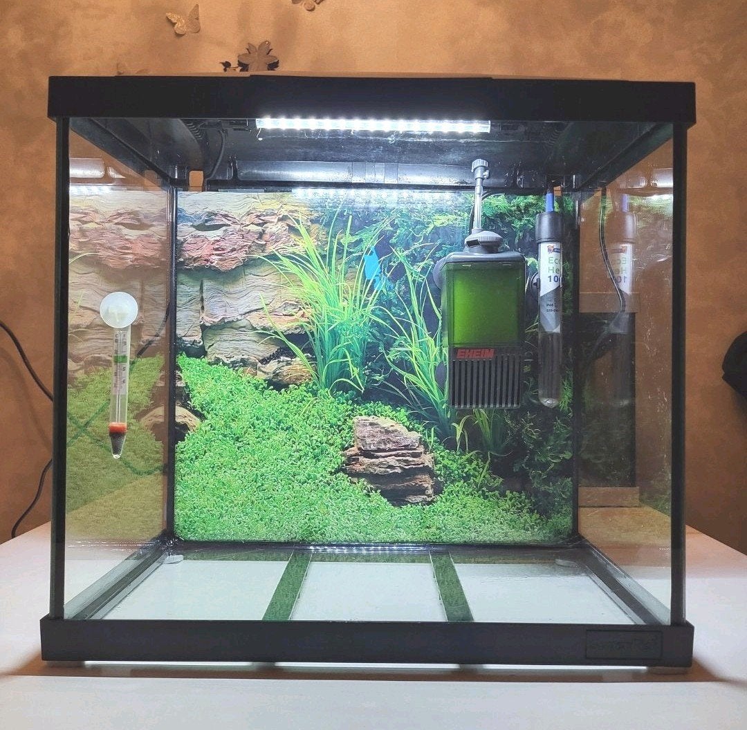 Mooi Superfish 45 liter aquarium zwart, Dieren en Toebehoren, Zo goed als nieuw, Leeg aquarium, Superfish, Ophalen
