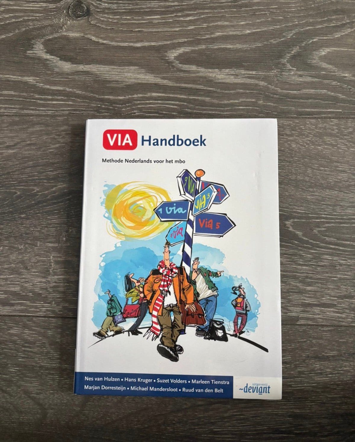 VIA handboek Nederlands MBO, Boeken, Ophalen of Verzenden, Zo goed als nieuw, Overige niveaus, Nederlands