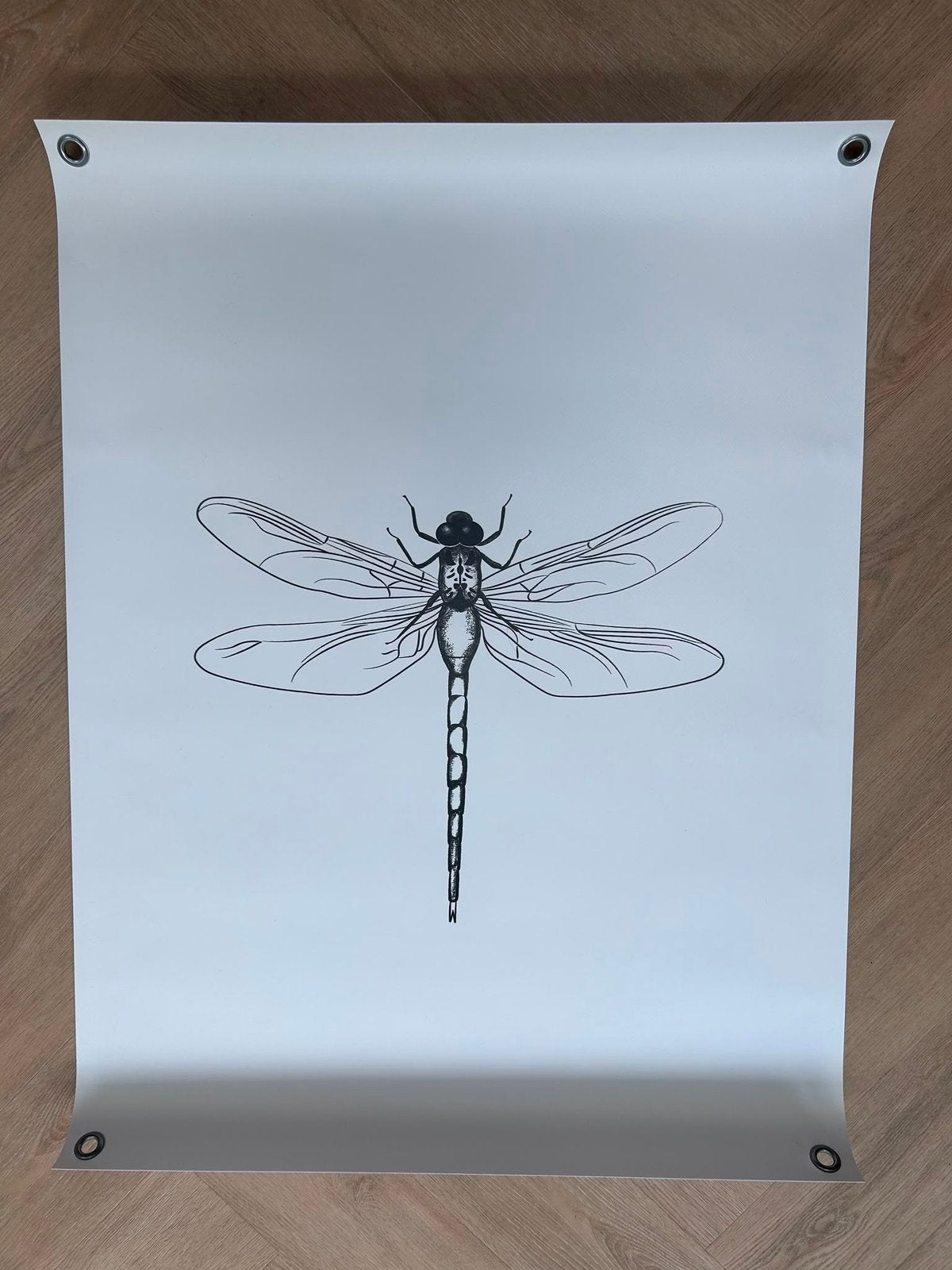Tuinposter 60x80 libelle -nieuw-, Ophalen of Verzenden, Nieuw