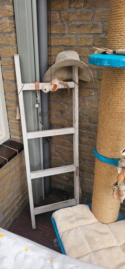 Houten ladder voor decoratie, wit, Huis en Inrichting, Woonaccessoires | Overige, Ophalen of Verzenden