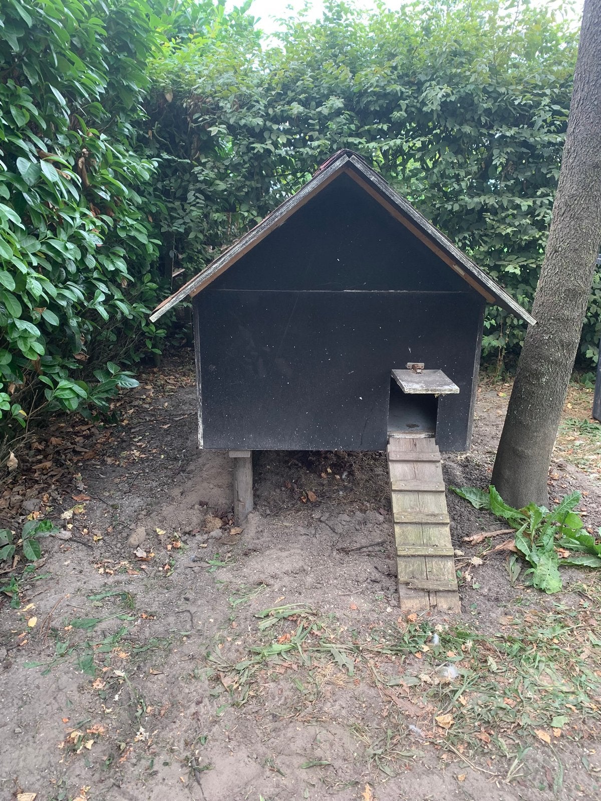 Kippenhok, Dieren en Toebehoren, Ophalen, Gebruikt, Kippenhok of Kippenren
