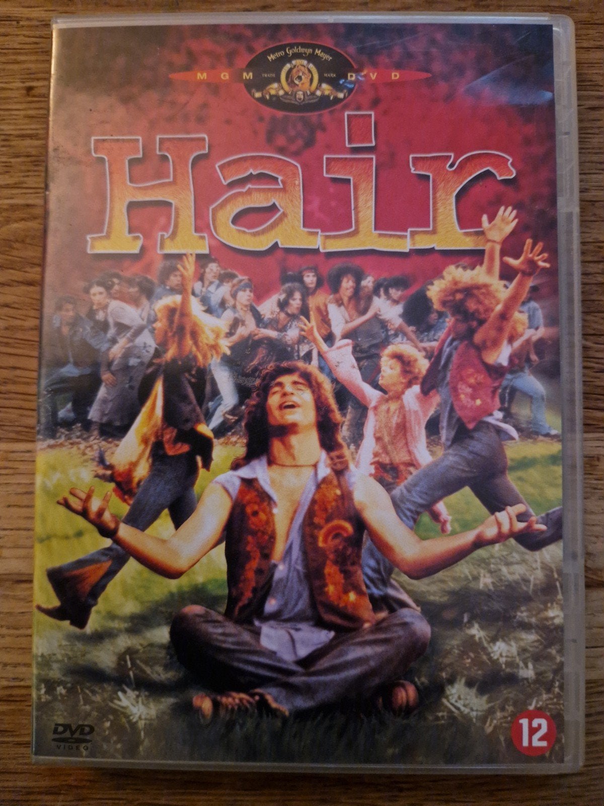 Hair , 1979, Cd's en Dvd's, Dvd's | Klassiekers, Alle leeftijden, Ophalen of Verzenden, Zo goed als nieuw, Actie en Avontuur
