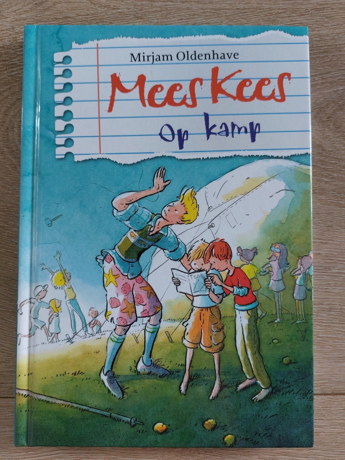 Boek mees kees op kamp, Ophalen of Verzenden, Gelezen
