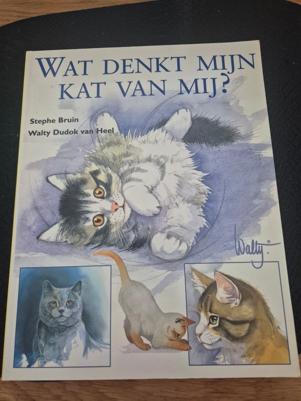 wat denkt mijn kat van mij ?, Boeken, Ophalen of Verzenden, Zo goed als nieuw, Katten, Stephe bruin