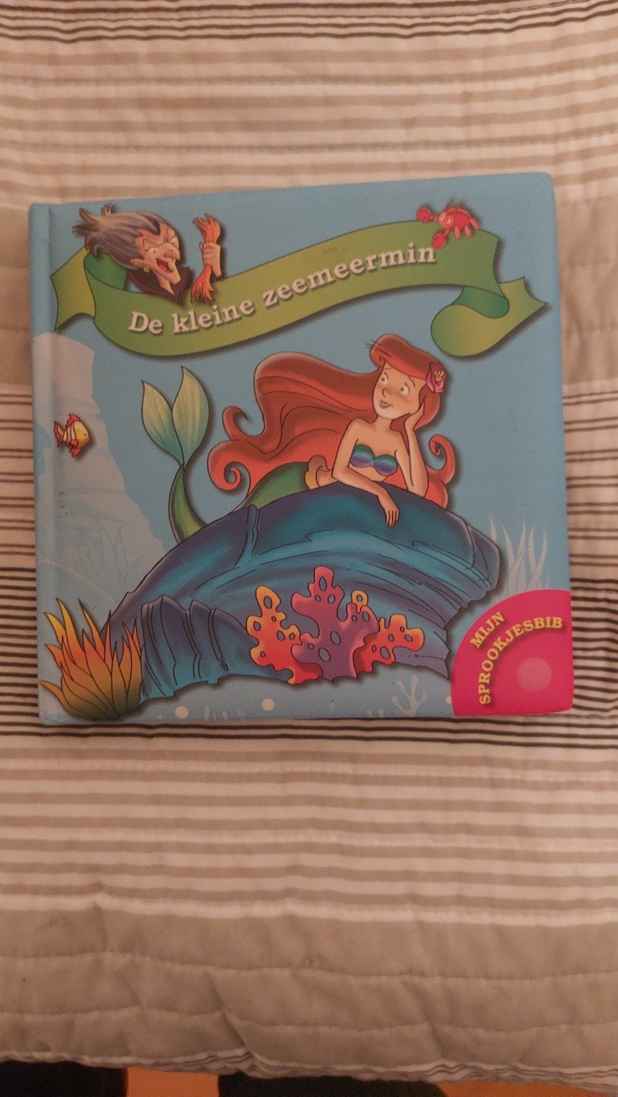 De kleine zeemeermin, Boeken, Ophalen of Verzenden, Zo goed als nieuw, 3 tot 4 jaar