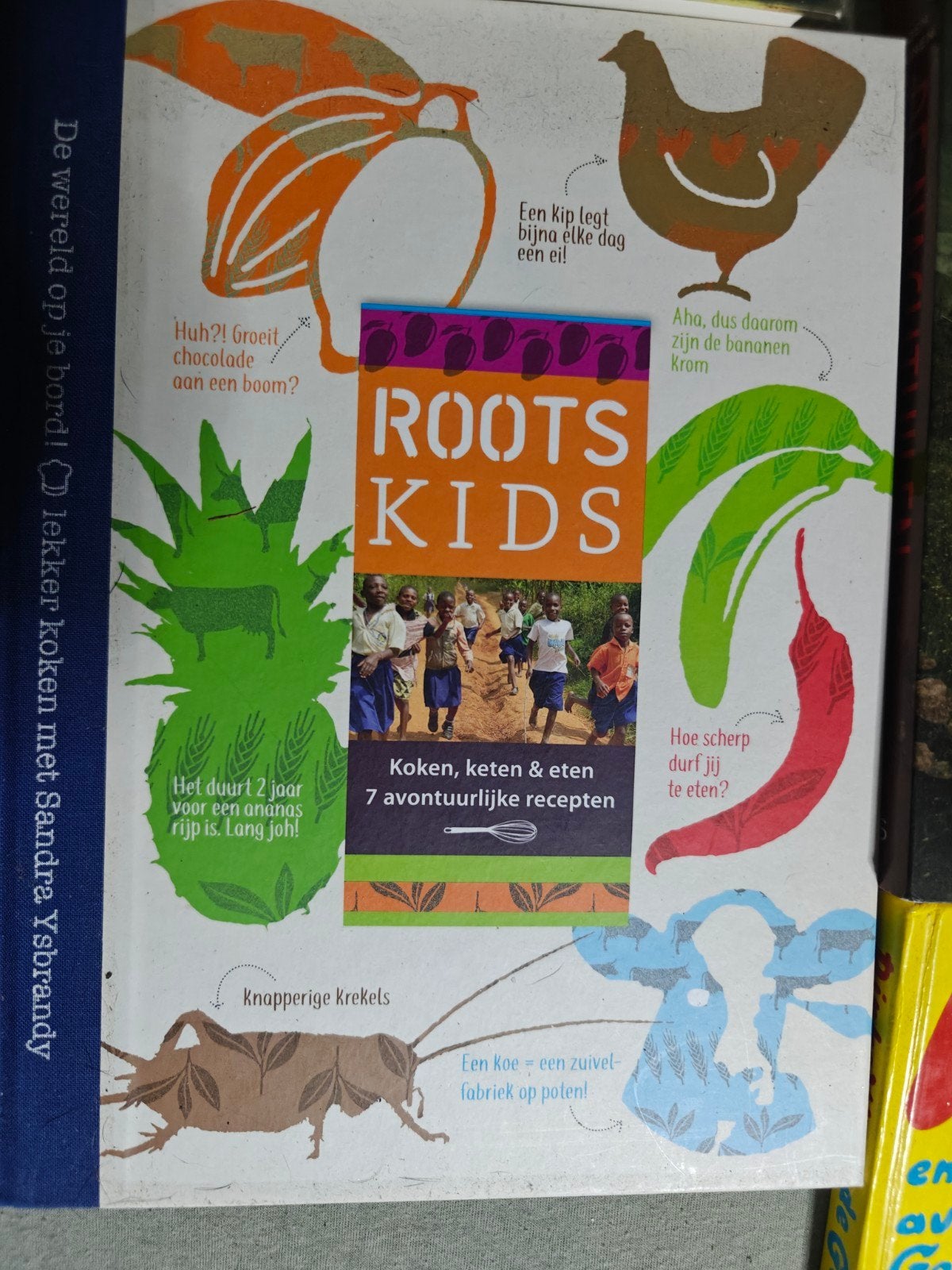 Roots Kids: Koken, Keten & Eten - 7 Avontuurlijke Recepten, Boeken, Kookboeken, Sandra Ysbrandy, Ophalen of Verzenden, Afrika