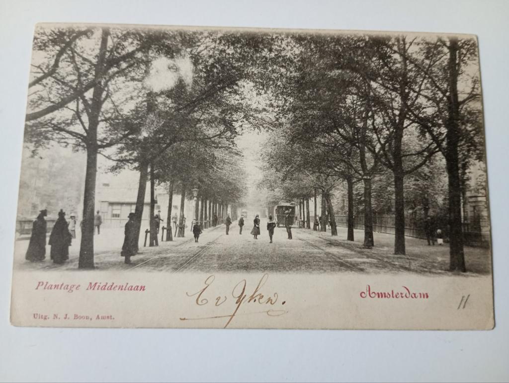 Amsterdam Plantage Middenlaan met Tram, Ophalen of Verzenden, Voor 1920, Ongelopen, Noord-Holland