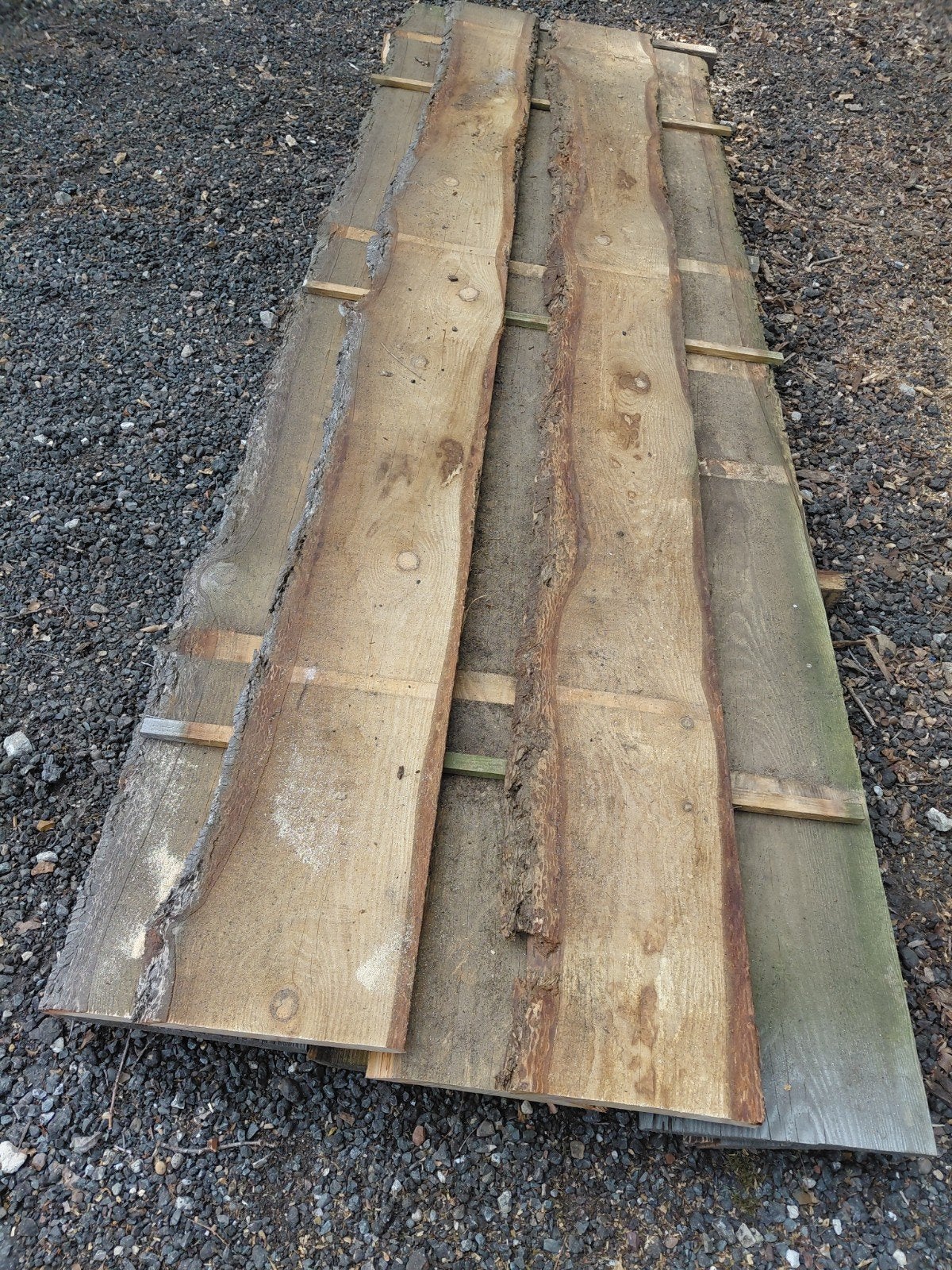 Douglas schaaldelen., Ophalen, Zo goed als nieuw, 250 cm of meer, Planken