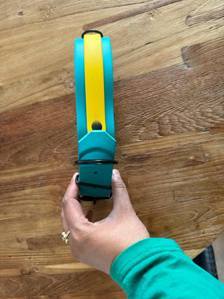Nieuwe kleurrijke halsband, Ophalen of Verzenden, Nieuw