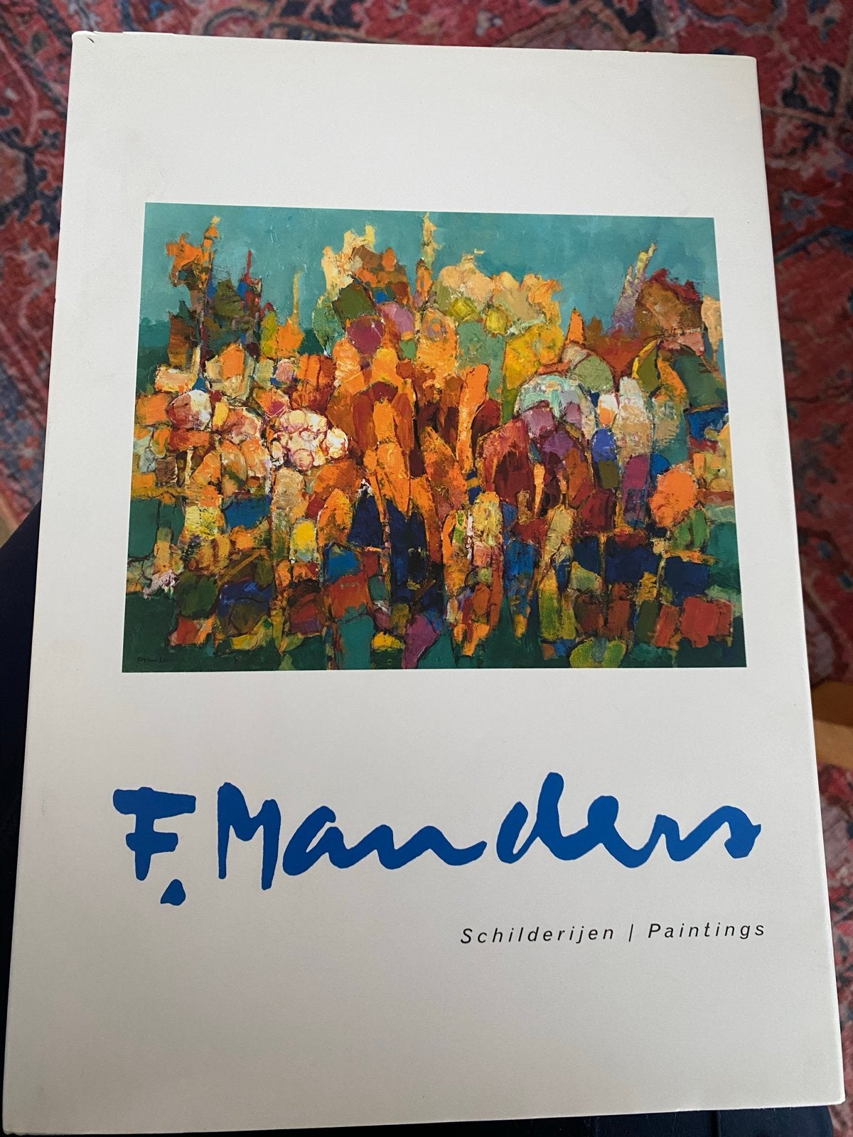 Frans Manders Schilderijen | Paintings - Kunstboek, Ophalen of Verzenden, Gelezen, Overige onderwerpen