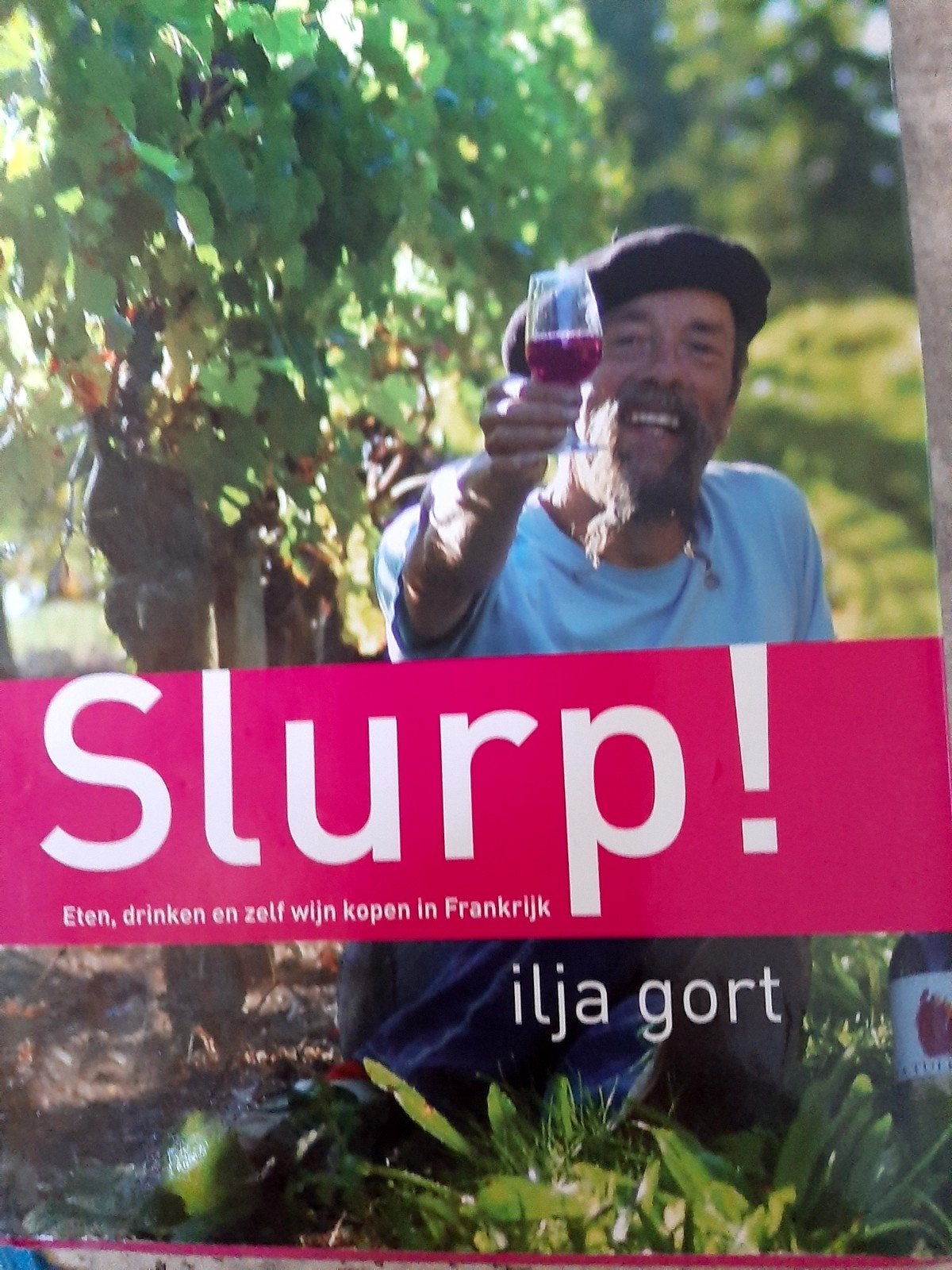 Slurp! Eten, drinken en zelf wijn kopen in Frankrijk, Gelezen, Overige typen, Ophalen of Verzenden, Ilja Gort