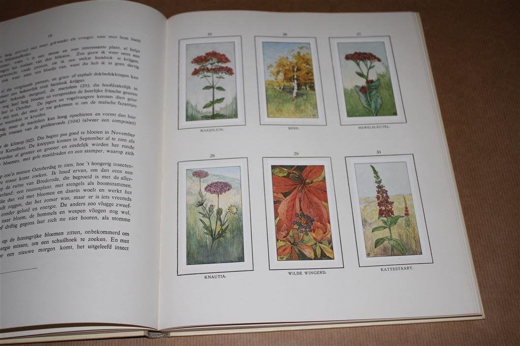 Herfst. Jac. P. Thijsse. Compleet plaatjesalbum., Ophalen of Verzenden, Gelezen