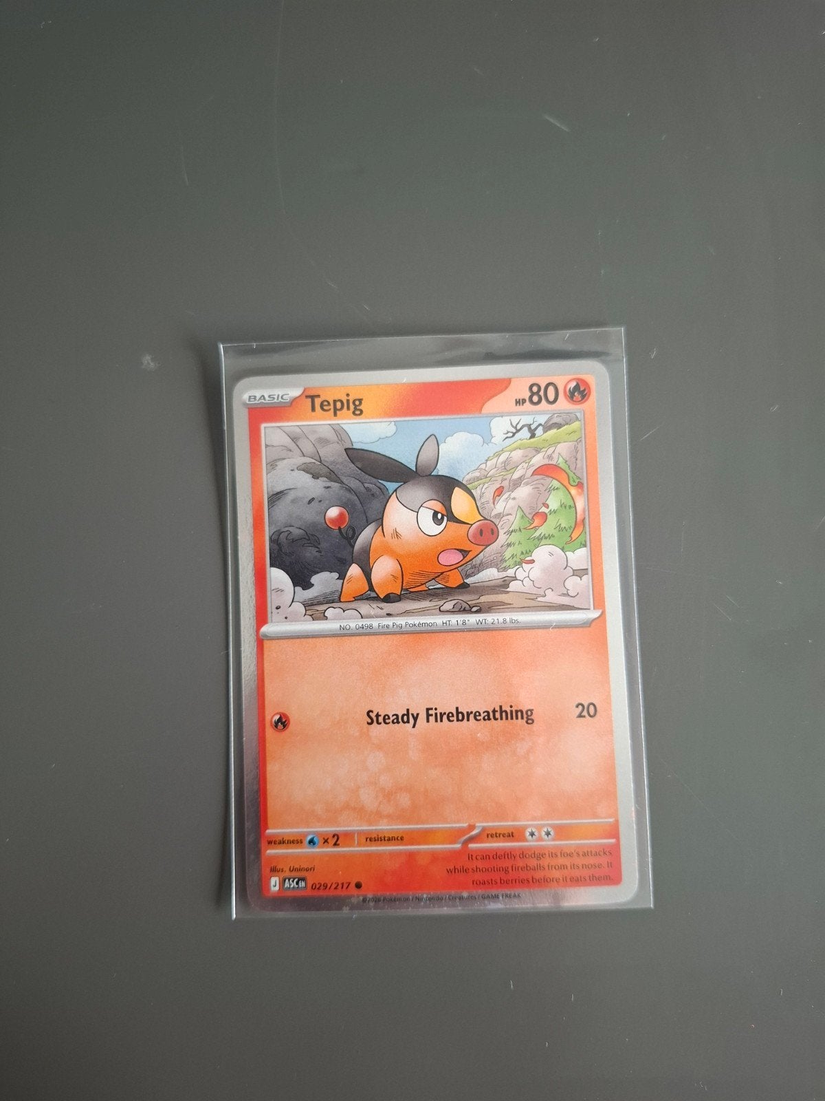 Pokémon Kaarten: Tepig en Chikorita (2 kaarten), Ophalen of Verzenden, Zo goed als nieuw, Meerdere kaarten