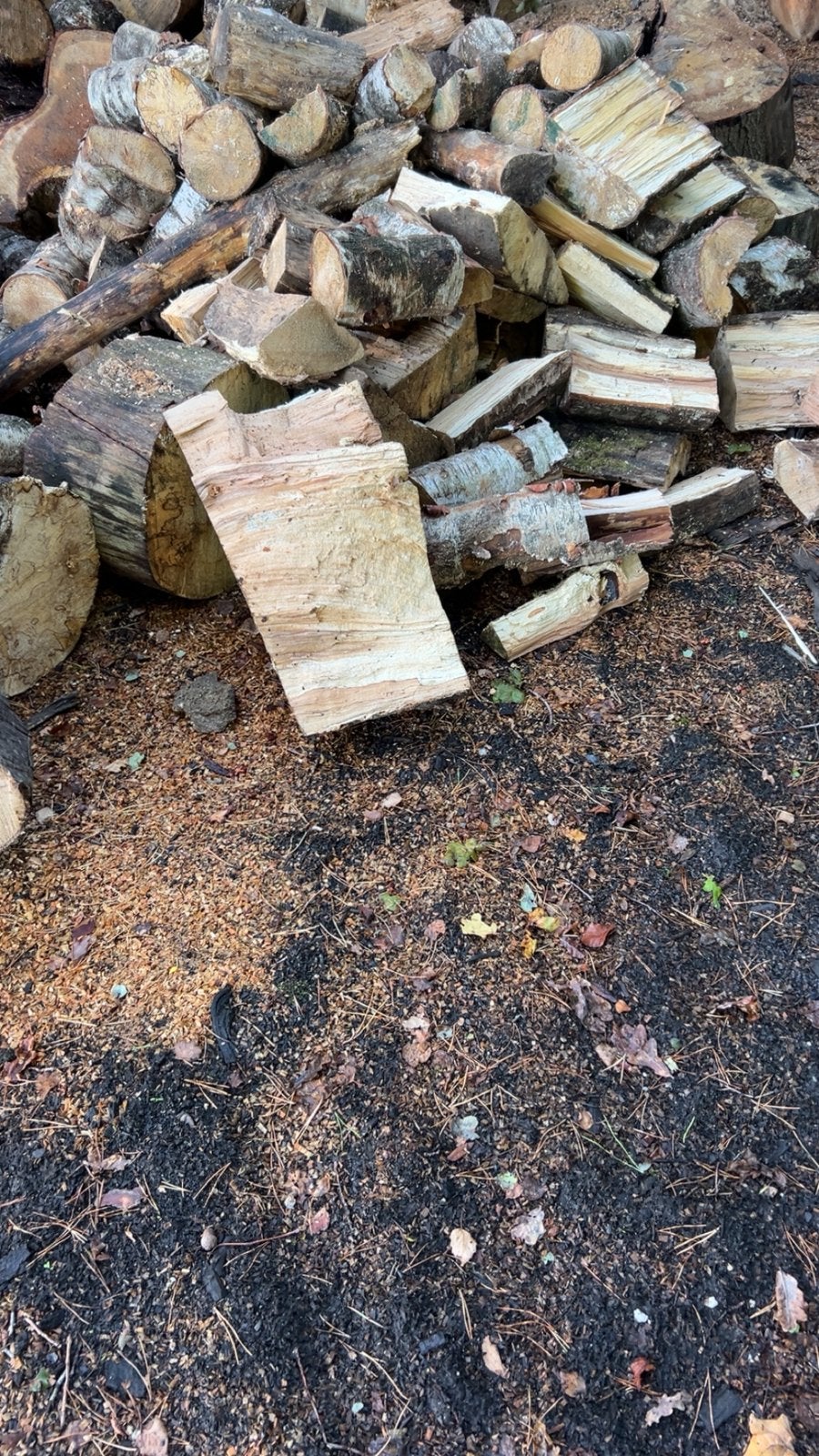 Berken en beuken hout, Minder dan 3 m³, Ophalen