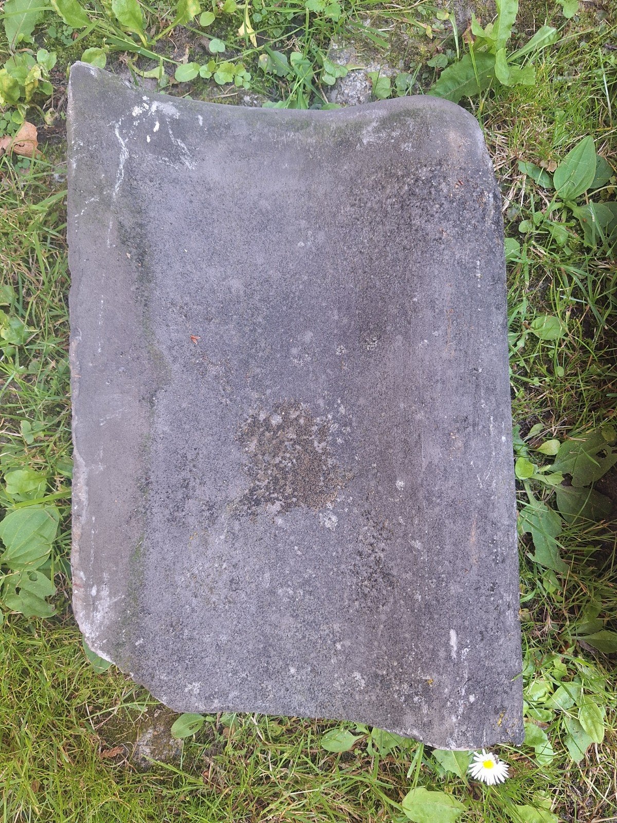 860 stuks oudhollandse dakpannen, 35 cm, Gebruikt, Steen of Klei, Blauw, Ophalen of Verzenden