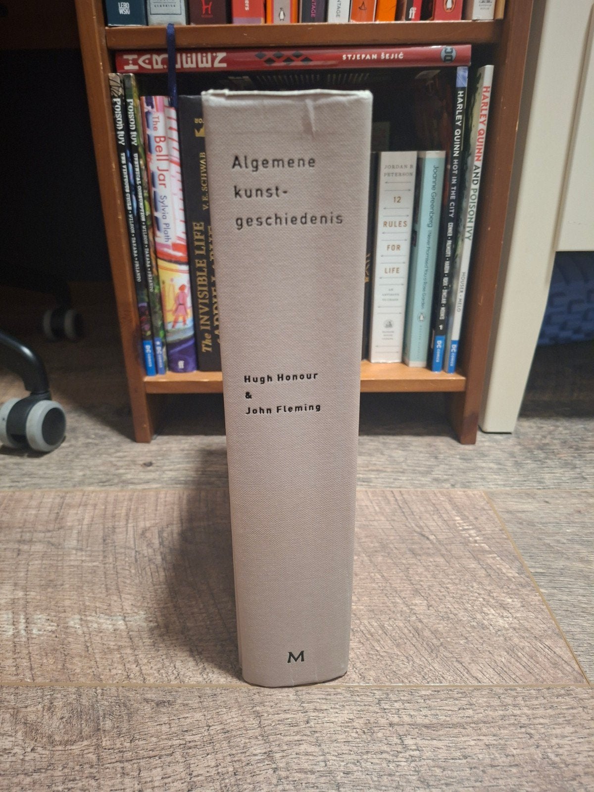 Algemene Kunstgeschiedenis - Hugh Honour & John Fleming, Ophalen, Gelezen