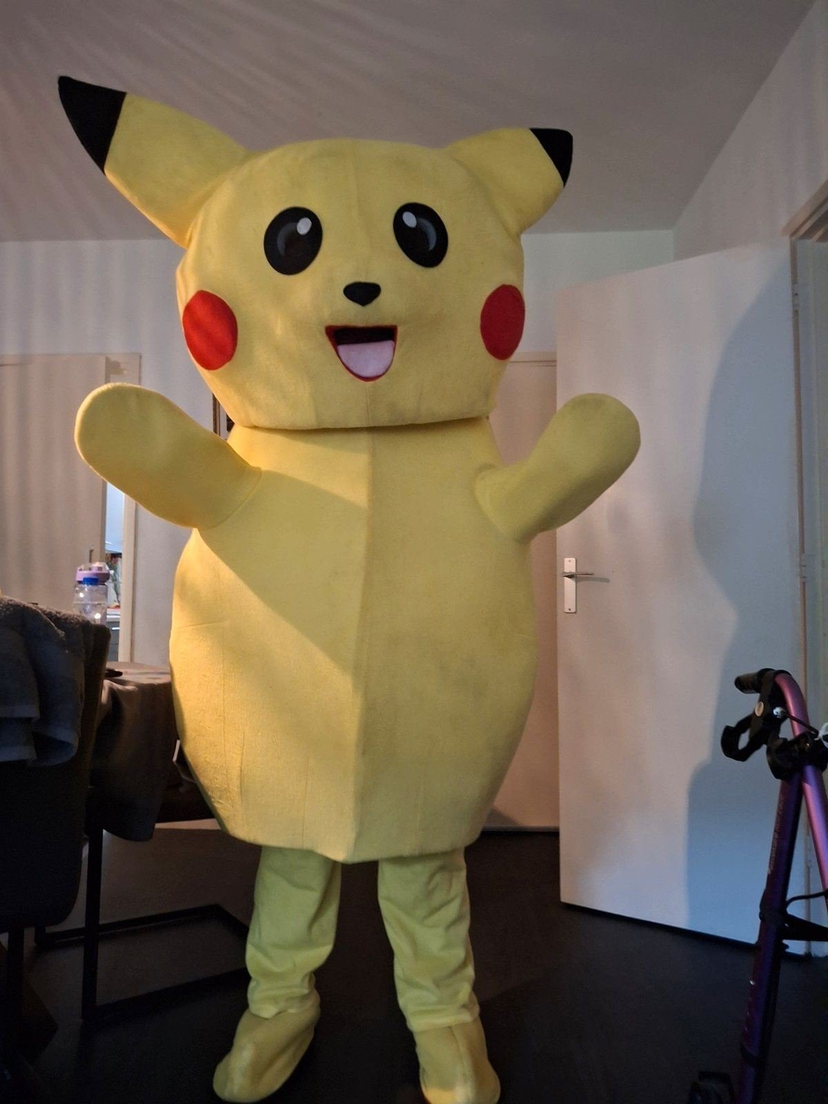 Pikachu mascotte te huur, Ophalen, Zo goed als nieuw, Overige