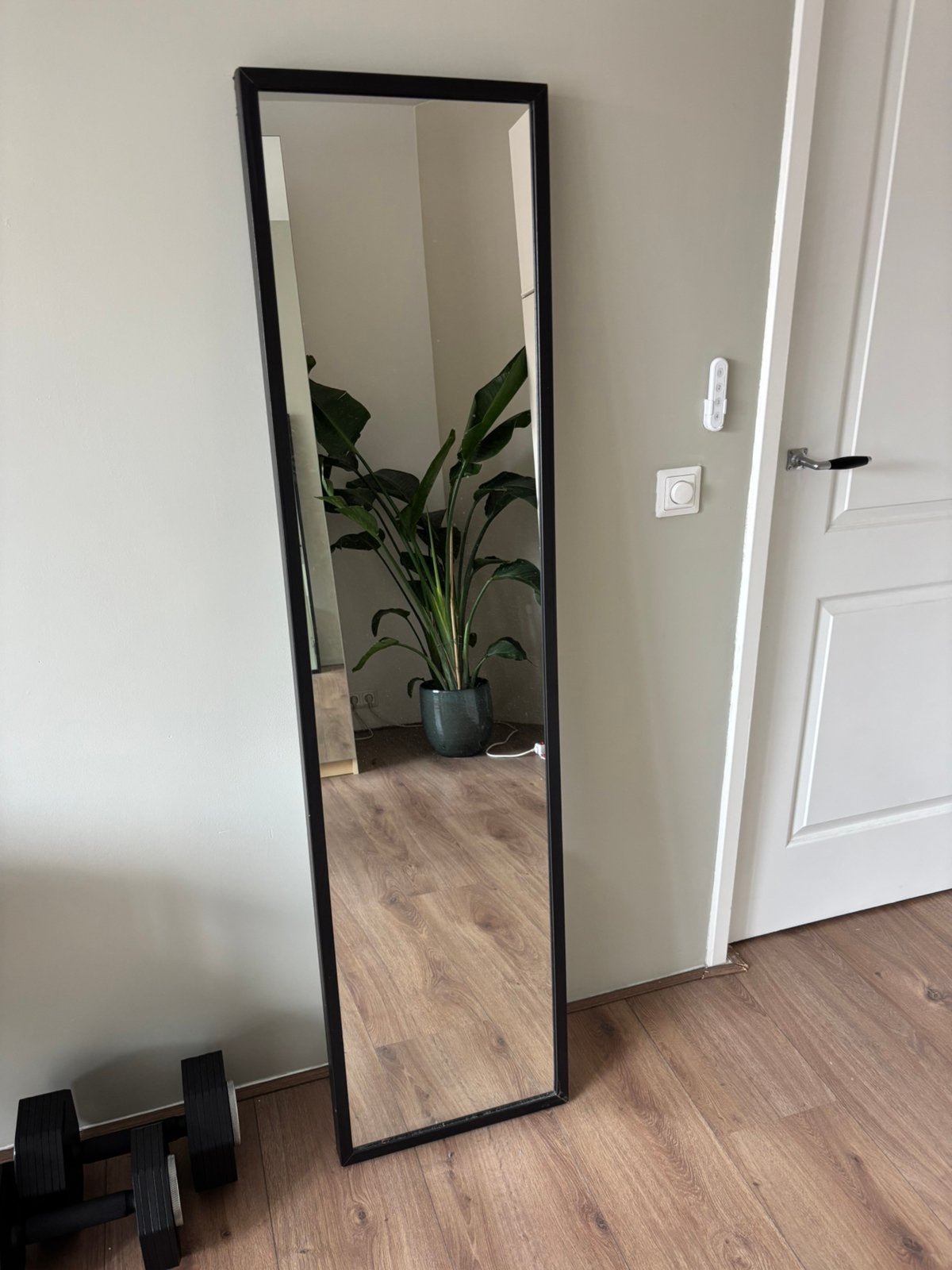 IKEA Stave passpiegel, Ophalen, Minder dan 50 cm, Gebruikt, 150 tot 200 cm