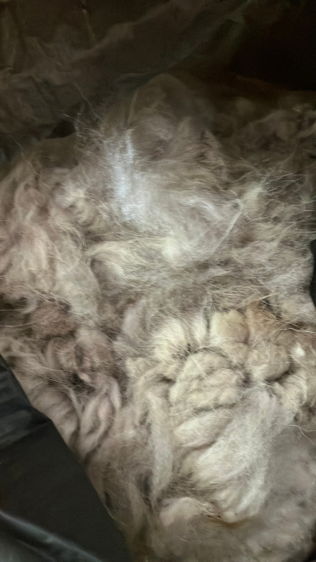 Alpacawol beige. Vacht van 1 alpaca, Ophalen of Verzenden, Zo goed als nieuw, Spinnewiel