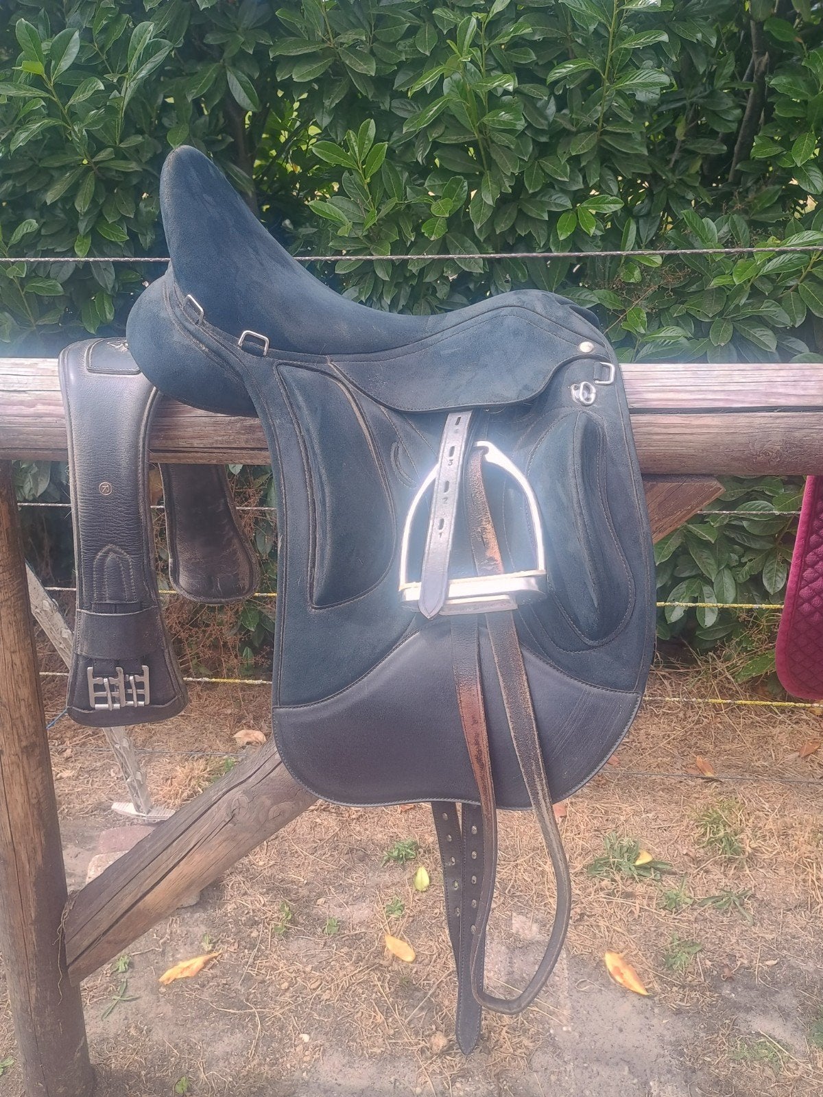 wintec endurance 17,5, Ophalen, Dressuur