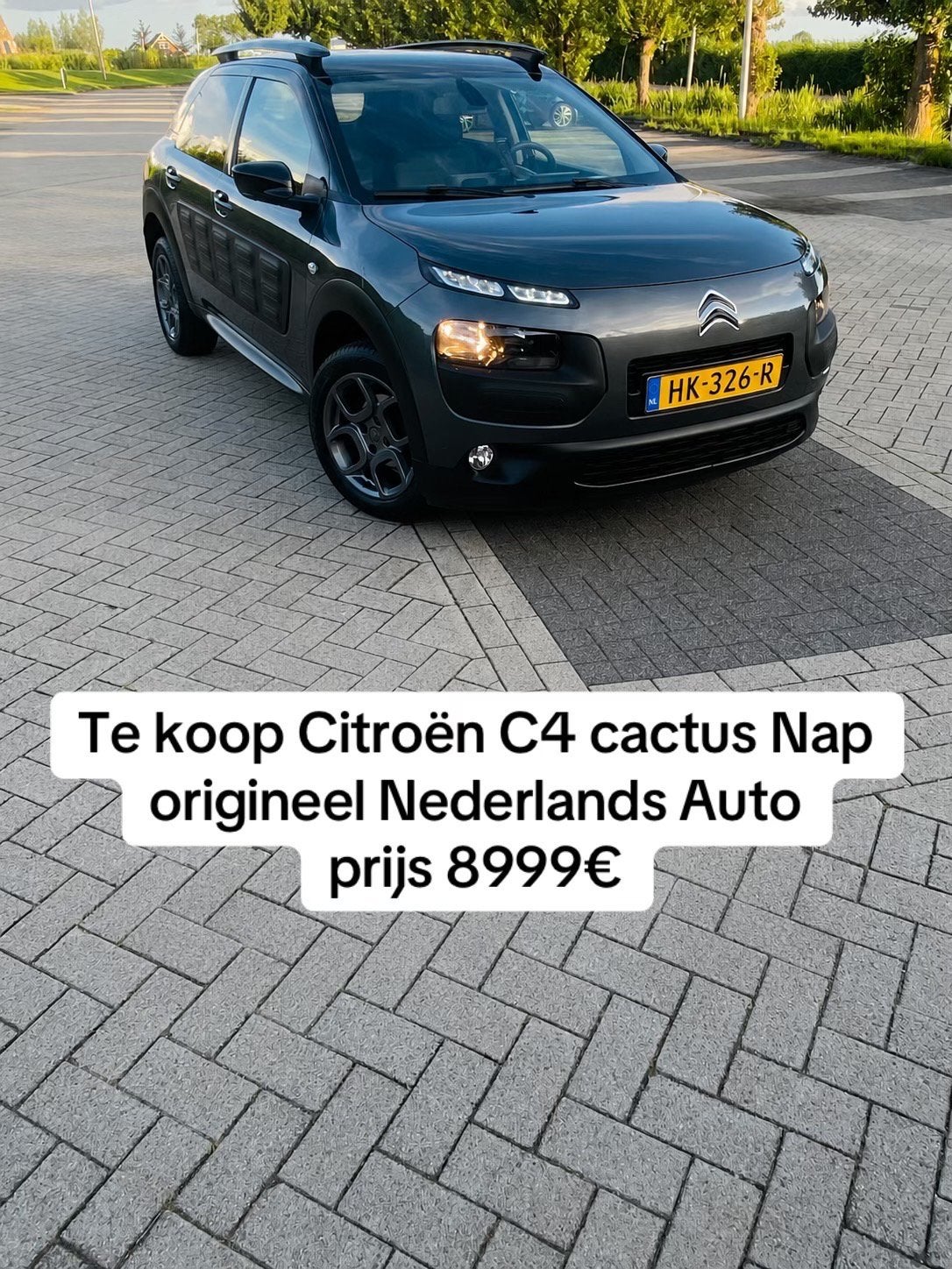 Citroën C4 Cactus 1.2 E-vti 82 Etg5 Airdream 2015 Grijs, 725 kg, 31 €/maand, 23 km/l, Origineel Nederlands