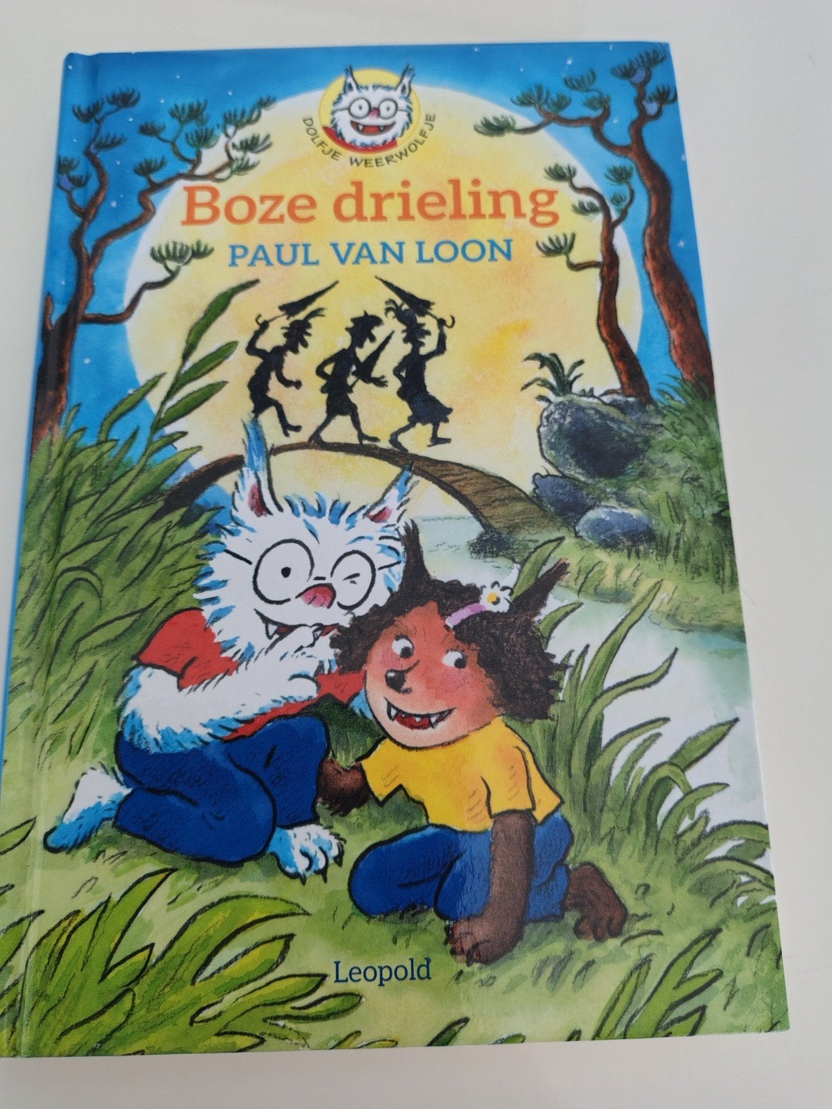 boze drieling, Ophalen of Verzenden, Zo goed als nieuw, Paul van Loon