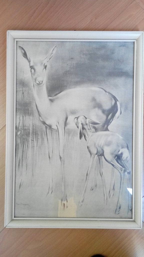 Litho met lijst Hert met Jong van Han van Meegeren 48x34 cm, Ophalen of Verzenden, Tekening, Lithografie, Achter glas