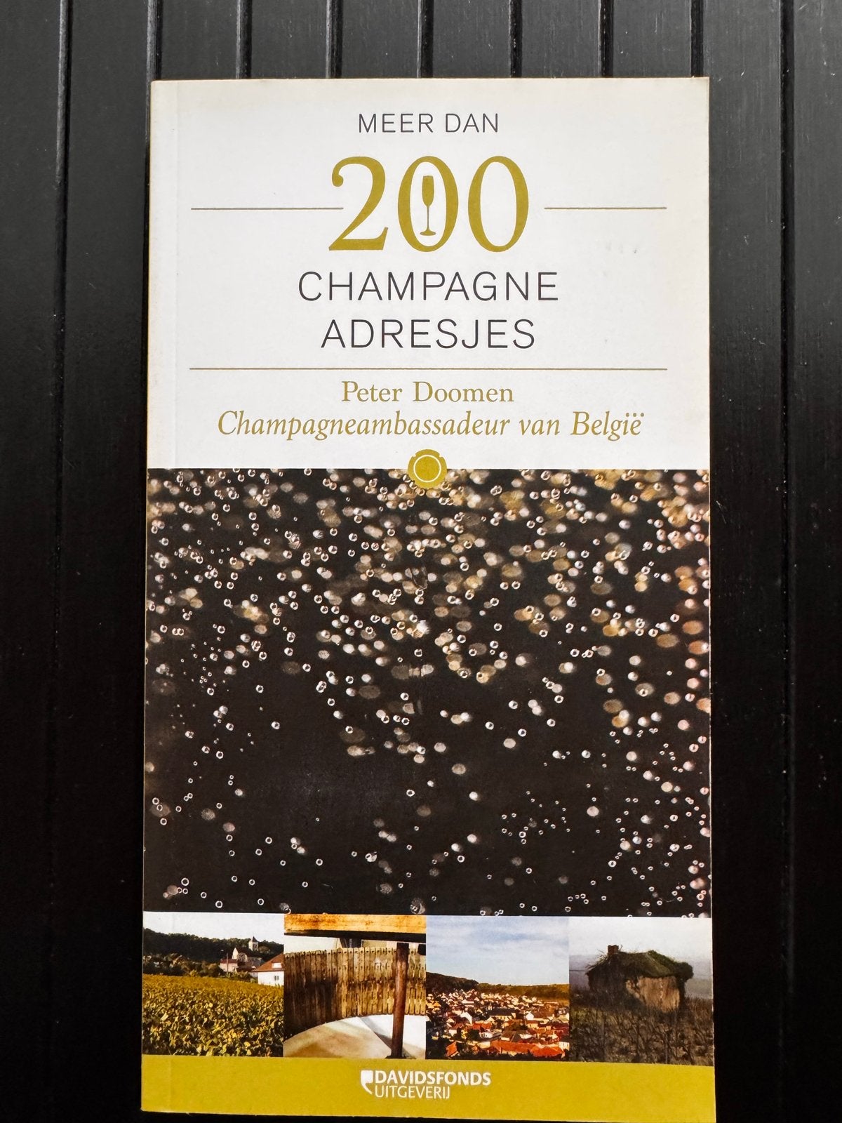 Meer dan 200 Champagne Adresjes - Peter Doomen, Overige merken, Europa, Ophalen of Verzenden, Zo goed als nieuw